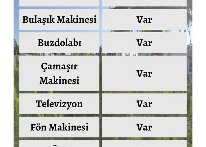 3 Odali Apartament *